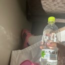 경주 키치 네일 추천 : 용황동 이리나뷰티 후기 (캐릭터 네일 잘하는 곳)