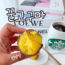 진영팜 이미지