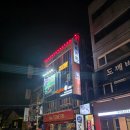 홍대 낮잠 힐링카페 수면카페 서울가성비숙소 잠자는곳 시간떼우기좋은곳 내돈내산ㅣ힐링카페 심신프리