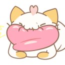 루시캣