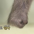 끌림365의원 이미지