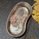 안둔 | 대전 삼겹살 맛집, 둔돈정원 봉명점 내돈내산 후기 (생삼겹, 냉삼, 껍데기 맛집)