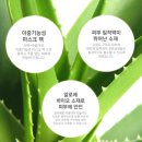 라파엘바이오 이미지