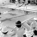 달산초등 이미지