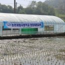 학운초등학교 이미지