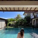 거북시장A(42132) | 갭이어 바다거북 보호 봉사 준비부터 후기까지, 발리여행 프롤로그편