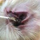 별빛약국 이미지