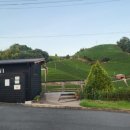 우지농장 | [우지]녹차밭