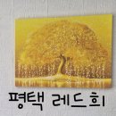 (버스)합정동주공3단지후문 | 평택 '레드희' 타로 행운팔찌 체험단 리얼 후기 남겨요🔮