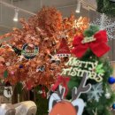 망고키즈수영장 양산점 이미지