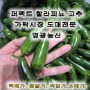 영광농산