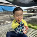 섬진강수달권역커뮤니티센터 이미지