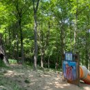 용정어린이집 이미지