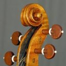 바이올린2 이미지