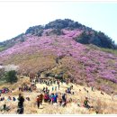 대금산농원