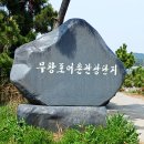 희리산해송자연휴양림 캠핑장 산책로의 벚꽃 풍경 이미지