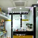 웰펫동물병원 Daum카페