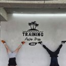 트레이닝팜트리