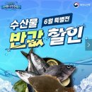 대한민국회수산 티스토리