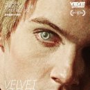 벨벳 골드마인(Velvet Goldmine) 음악 영화 정보, 줄거리, 후기