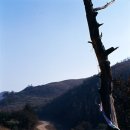 푸른 발전소 이미지