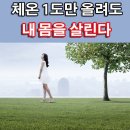 일과 운동은 노년의 보약 이미지