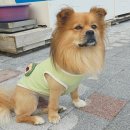 대게본가 - 포항시 남구 호미로 235 | 삼척 대게맛집 삼척대게본가 수율 가득한 한상 가득 솔직후기