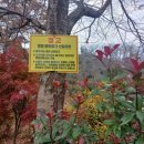 멍 때리는 전망대 이미지