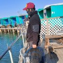 독도바다낚시터 이미지