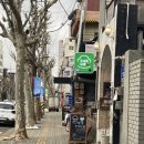 행복한 별 | [daily] 별이의 궤도로 내가 갈게 ; 따뜻하고 행복한 별탄절🍀🤍