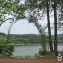 이천태권도체육관 이미지