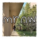 레몬비 양문점 | [대구] mrnw 후기(26.04.11) / 분위기 좋은 카페, 복합문화공간