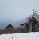 피제 - 북구 만덕대로 39 | 피제