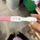 선보약국 이미지