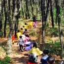 동국대부속유치원 이미지