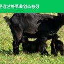 염소농장 이미지