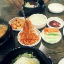 최가네영양탕