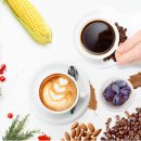 카페버본BURBON 이미지