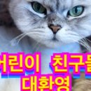모여봐요고양이카페