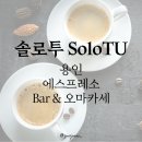 솔로투(solotu)
