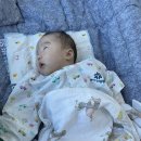 경기도 수원시 팔달구 권광로 138 (인계동, 수원시청역 선경센트럴파크) | 수원 인계동 아이편한소아과 RSV B 입원하다 (51일 ~ 54일)