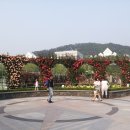 조선대학교 장미원 이미지