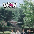 W-10 이미지