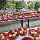 야채과일가계24시간무인일천량