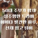 50대인 내가 청춘 로맨스에 빠질 줄은 몰랐어요(어쩌다 발견한 하루, 선재 업고 튀어 후기)