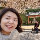 한우명품곰탕참숯구이 이미지