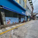 양구동물병원 | [내돈내산] 루비랑 다녀온 양구 무인애견용품샵🐶 장난감, 간식 구경하고 온 날!