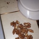 선택농장 이미지