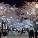 솔올정원 이미지