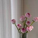 바즈플라워 이미지